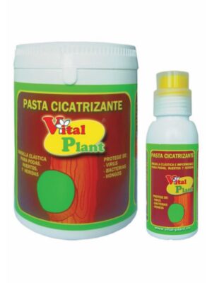 Pasta cicatrizante