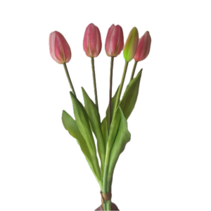 Tulipán 5 cabezas 40 cm uc.12 Rosa