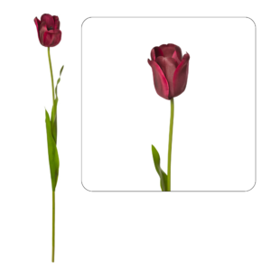 Tulipán engomado 90 cm uc.12 Burdeos