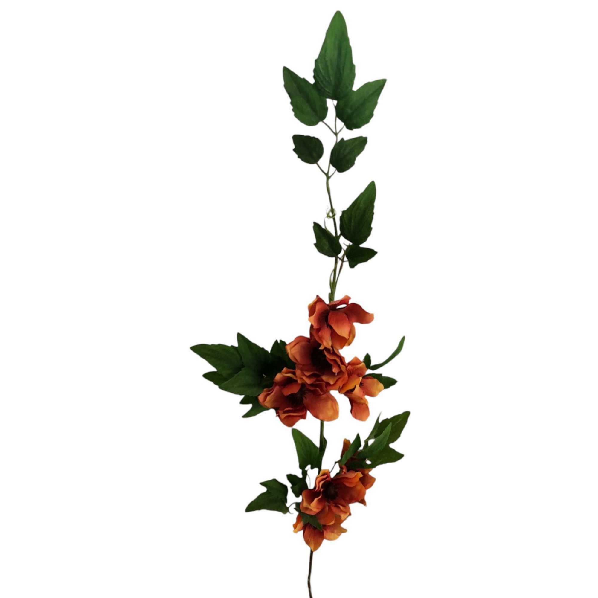 Single Asphodel 55 cm uc.12 Coral