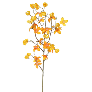Vara Senna Premium 76 cm cm uc.12 Amarillo