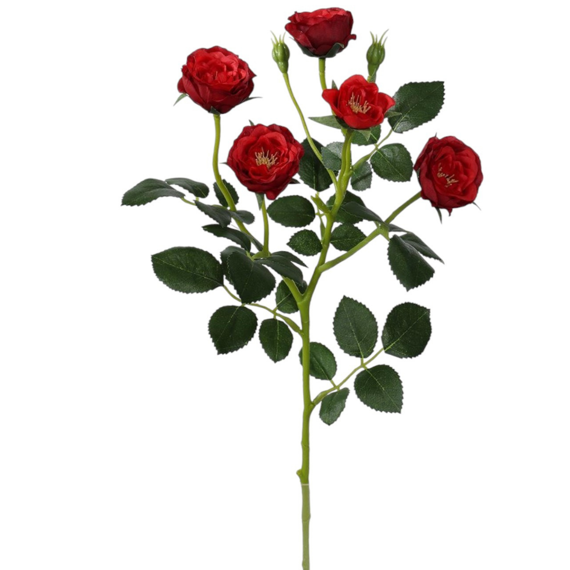 Vara Rosas Mini Spray 50 cm cm uc.12 Rojo