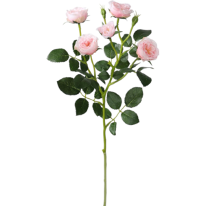 Vara Rosas Mini Spray 50 cm cm uc.12 Rosa