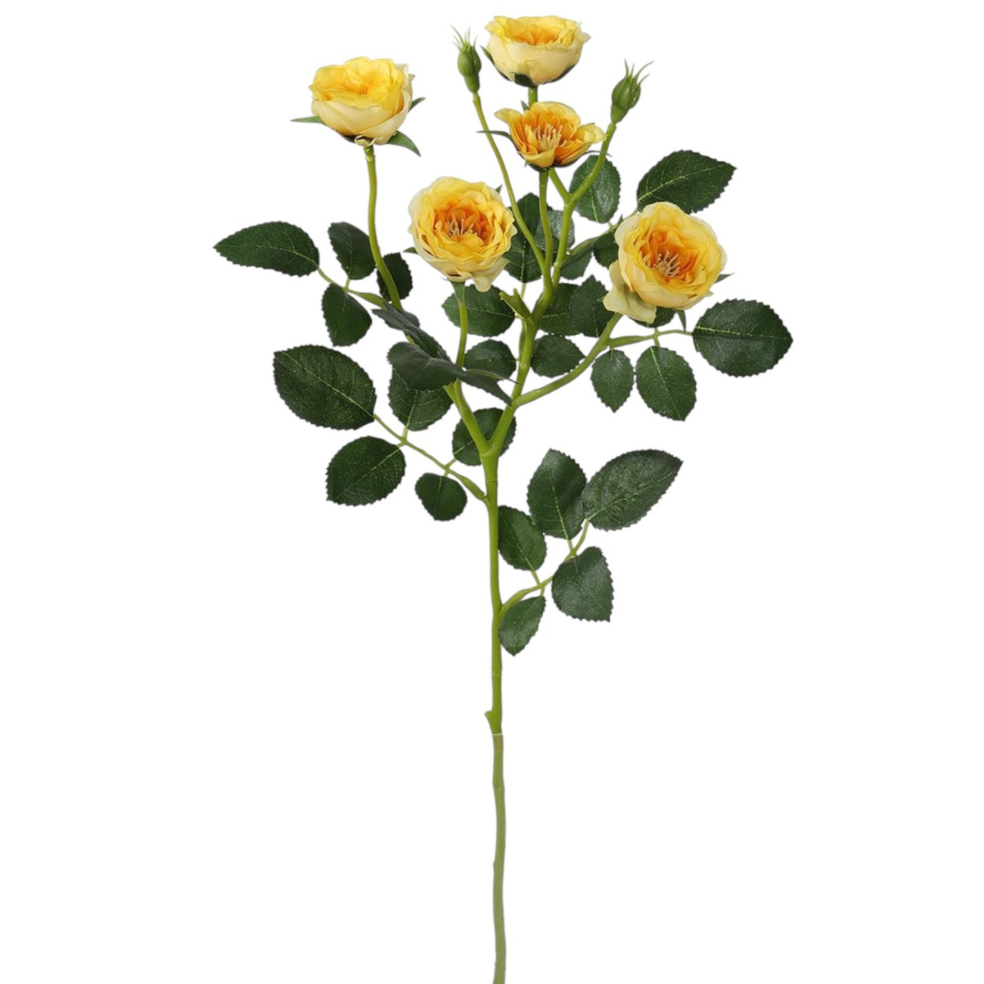 Vara Rosas Mini Spray 50 cm cm uc.12 Amarillo
