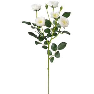 Vara Rosas Mini Spray 50 cm cm uc.12 Blanco