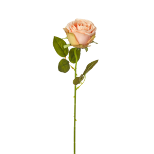 Vara Rosa 49 cm cm uc.36 Rosa