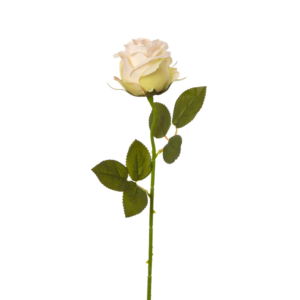 Vara Rosa 49 cm cm uc.36 Blanco