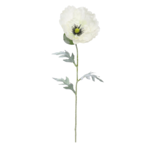 Vara Amapola XL 62 cm uc.12 Blanco