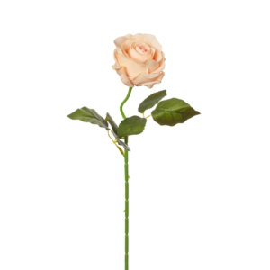 Vara rosa abierta terciopelo 50 cm uc.12 Salmón