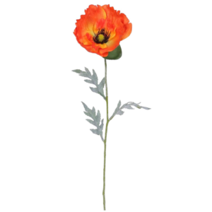 Vara Amapola XL 62 cm uc.12