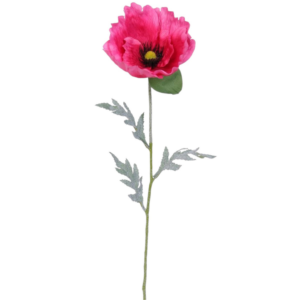 Vara Amapola XL 62 cm uc.12 Rosa