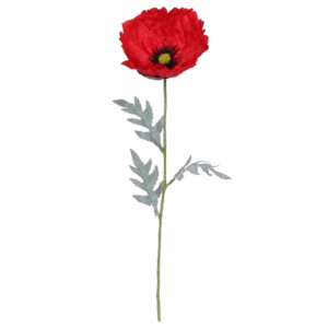 Vara Amapola XL 62 cm uc.12 Rojo