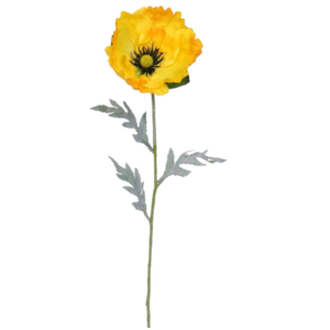 Vara Amapola XL 62 cm uc.12 Amarillo