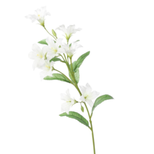 Vara Balloon Flower 62 cm uc.12 Blanco
