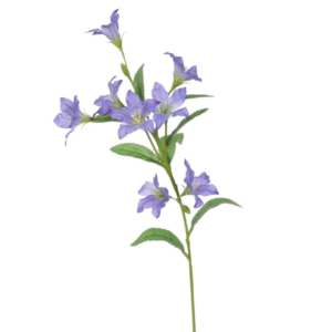 Vara Balloon Flower 62 cm uc.12 Azul