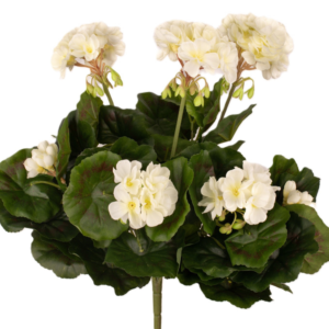 Ramo Geranio 45 cm UV uc.6 Crema