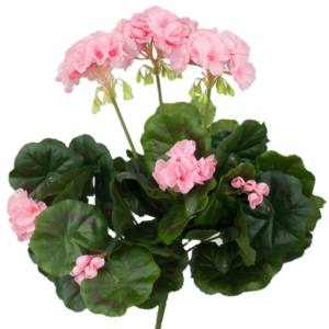 Ramo Geranio 45 cm UV uc.6 Rosa