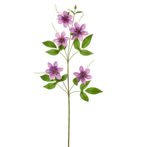 Vara mini doble Clemantis 78 cm uc.12 Purpura
