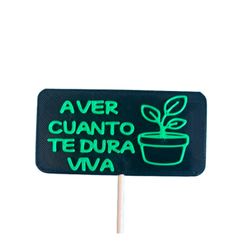Pack 5 picks 8x4 Planta Viva