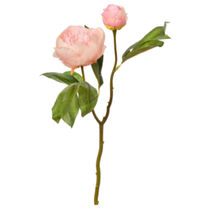 Vara Peonia 2 Cabezas 47 cm uc.30 Rosa Claro
