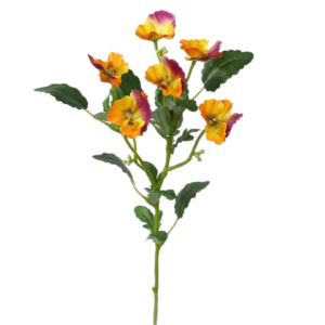 Vara Pensamientos 50 cm uc.12 Amarillo