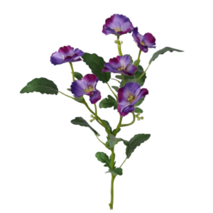 Vara Pensamientos 50 cm uc.12 Morado