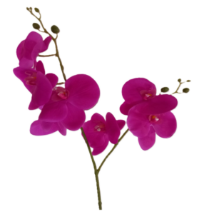 Vara Orquidea 50 cm uc.12 Fucsia