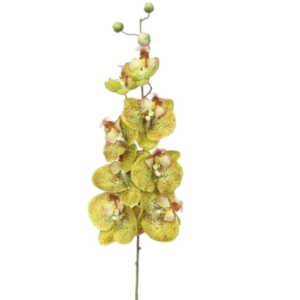 Vara Orquidea 92 cm uc.12 Verde