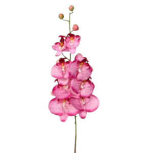 Vara Orquidea 92 cm uc.12 Rosa