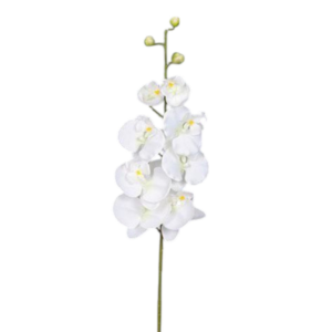 Vara Orquidea 92 cm uc.12 Blanco