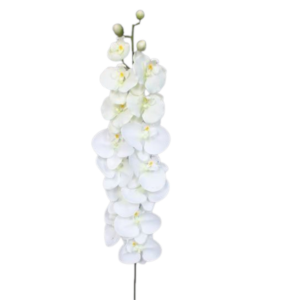 Vara Orquídea XL 121 cm uc.6 Blanco