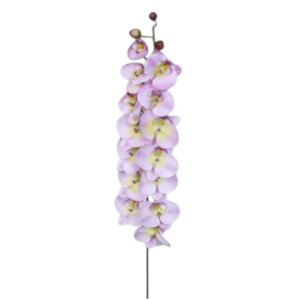 Vara Orquídea XL 121 cm uc.6 Rosa