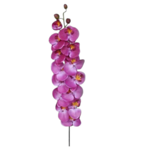 Vara Orquídea XL 121 cm uc.6 Fucsia