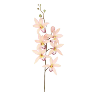 Vara Cymbidium 69 cm uc.6 Salmón