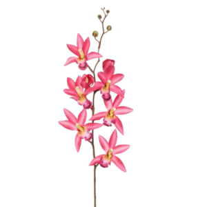 Vara Cymbidium 69 cm uc.6 Fucsia