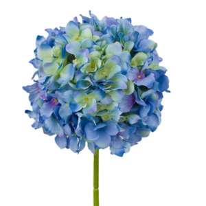Vara Hortensia 54 cm uc.12 Azul