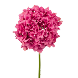 Vara Hortensia 54 cm uc.12 Fucsia