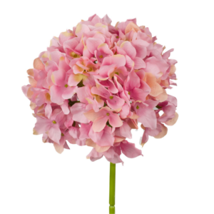 Vara Hortensia 54 cm uc.12 Rosa