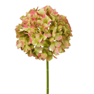 Vara Hortensia 54 cm uc.12 Verde