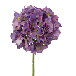 Vara Hortensia 54 cm uc.12 Púrpura