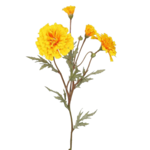 Vara de Marigold Spray 60 cm uc.12 Amarillo