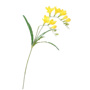 Vara Freesia 57 cm uc.24 Amarillo