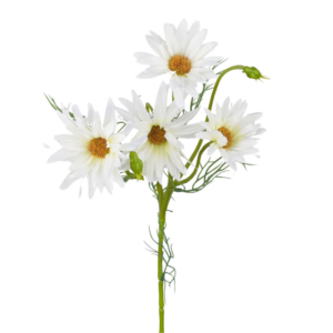 Vara de Margarita Daisy x 4 60 cm uc.12 Blanco