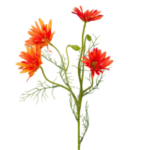 Vara de Margarita Daisy x 4 60 cm uc.12 Naranja