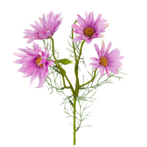 Vara de Margarita Daisy x 4 60 cm uc.12 Púrpura