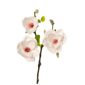 Vara de Magnolia 53 cm cm uc.24 Blanco