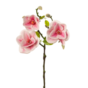 Vara de Magnolia 53 cm cm uc.24 Blanco/Rosa
