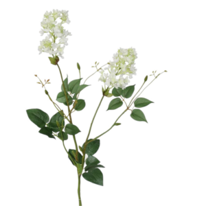 Vara de Lilas 78 cm uc.12 Blanco