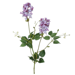 Vara de Lilas 78 cm uc.12 Lavanda