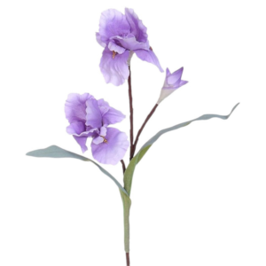 Vara de Iris 74 cm uc.12 Lavanda